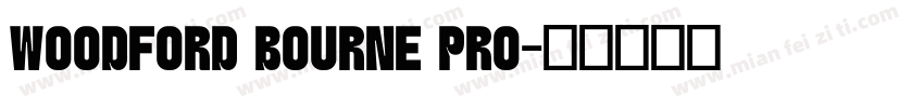WOODFORD BOURNE PRO字体转换